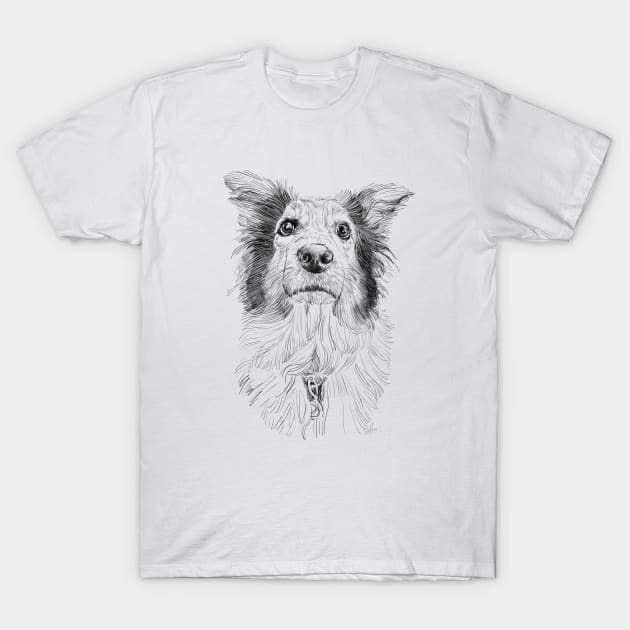 Australian Shepard pencil drawing T-Shirt by russodesign